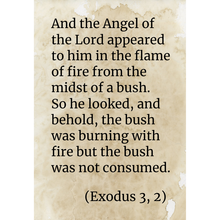 Load image into Gallery viewer, The Burning Bush - closed
