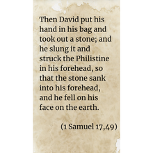 Load image into Gallery viewer, David defeats Goliath
