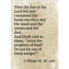 Load image into Gallery viewer, Elijah on Mount Carmel - grid