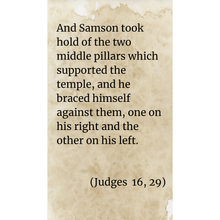 Load image into Gallery viewer, Samson's victory