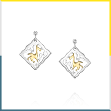 Load image into Gallery viewer, Transitions 21 earrings