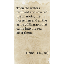 Load image into Gallery viewer, Red Sea Crossing